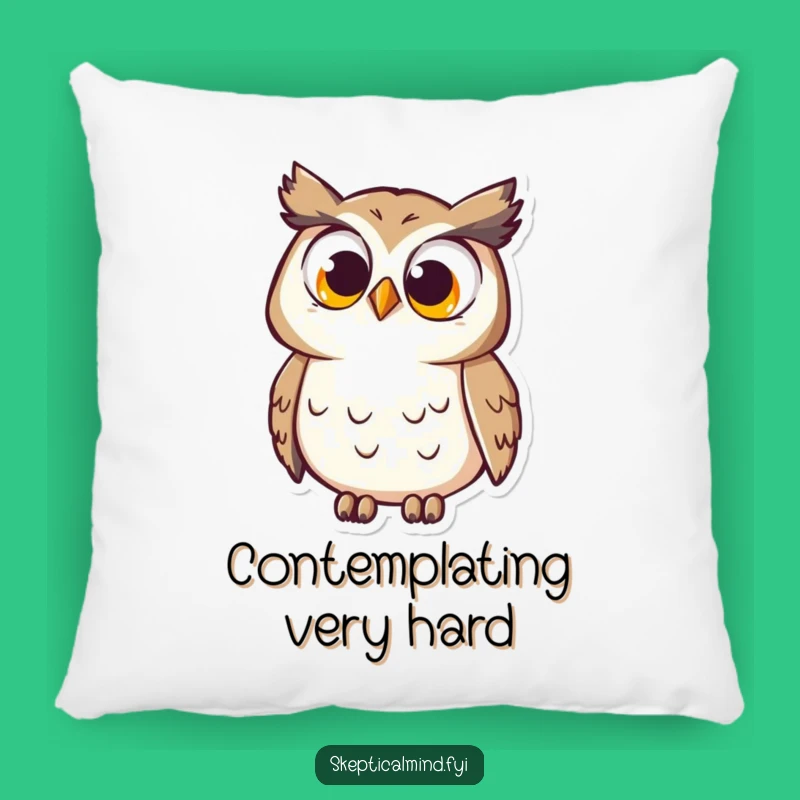 Funny Owl Pillow: Soft cushion with curious owl and big eyes, a cozy gift.
